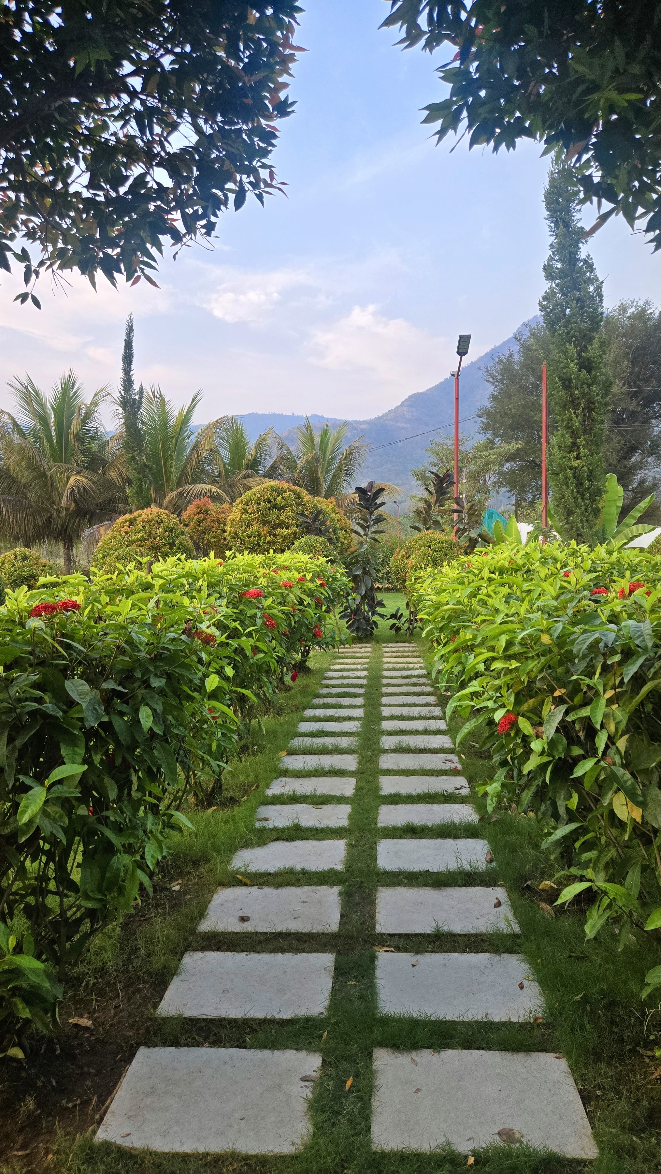 Araku Valley Eco Resorts